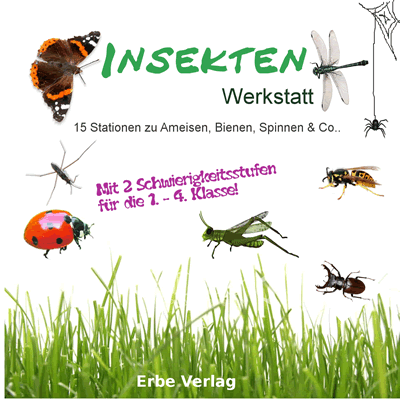 Insekten Unterrichtsmaterial