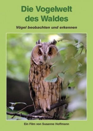 Vogelwelt des Waldes